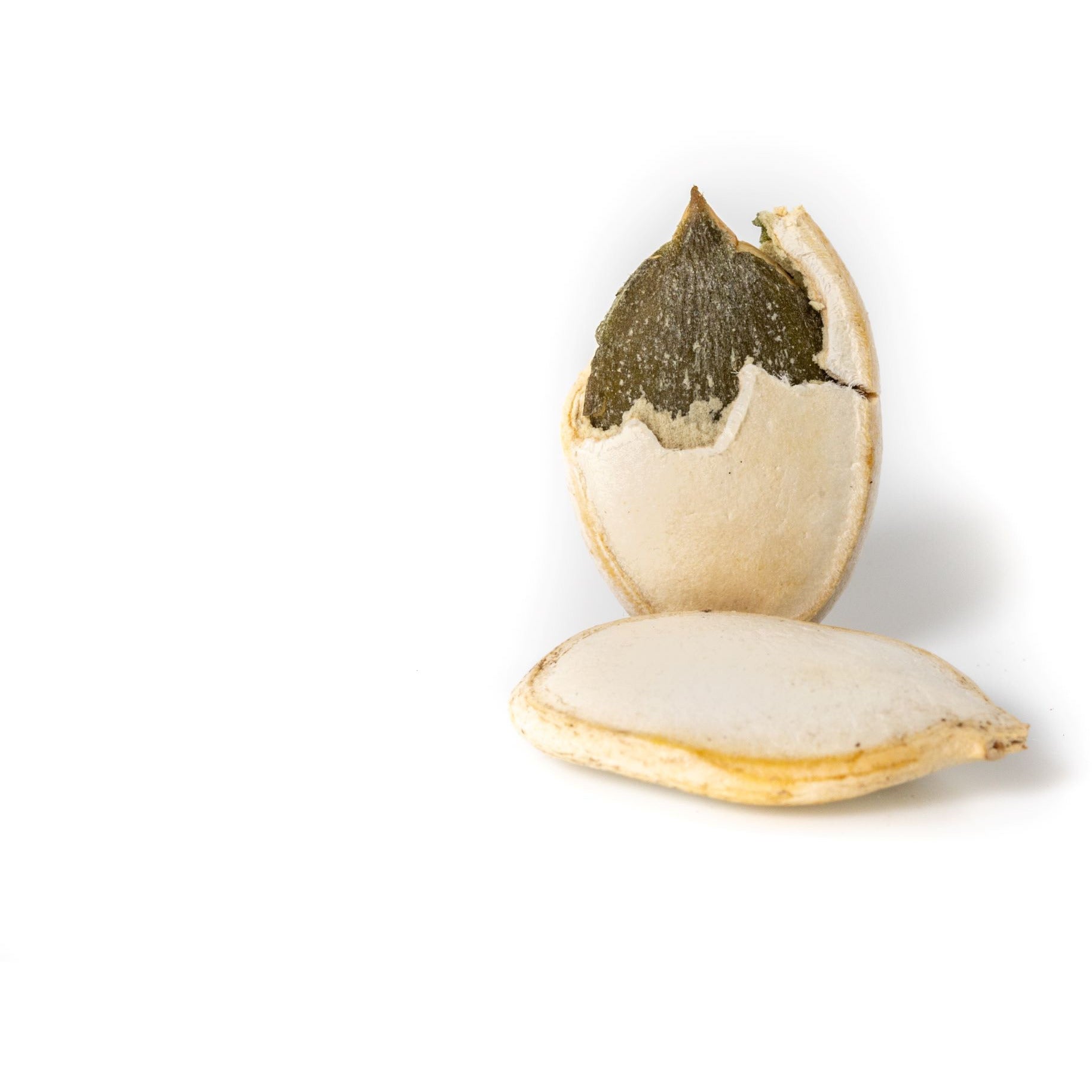 Graines de citrouille jumbo rôties (non salées)