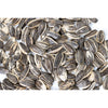 In-Shell Roasted Sunflower Seeds (Unsalted)