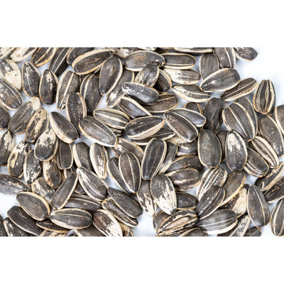 In-Shell Roasted Sunflower Seeds (Unsalted)