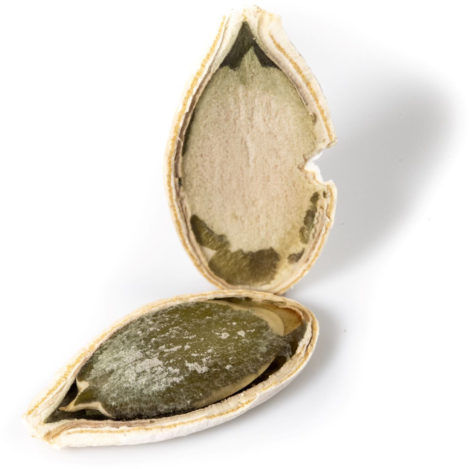 Graines de citrouille Jumbo rôties (salées)