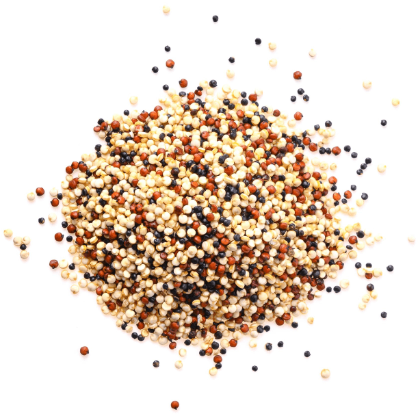 QUINOA TRICOLORE BIOLOGIQUES