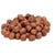 Raw Hazelnuts / Filberts - CM